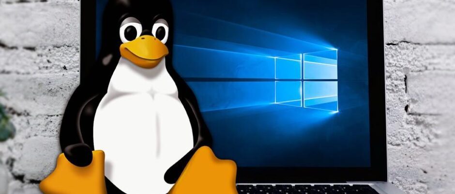 Gaming auf Linux – Geht das inzwischen gut?