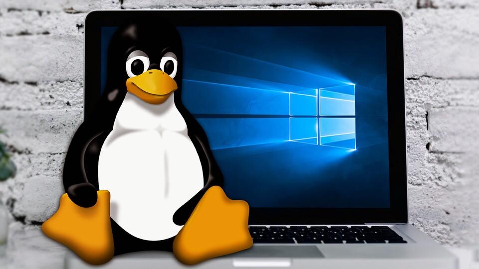 Gaming auf Linux – Geht das inzwischen gut?